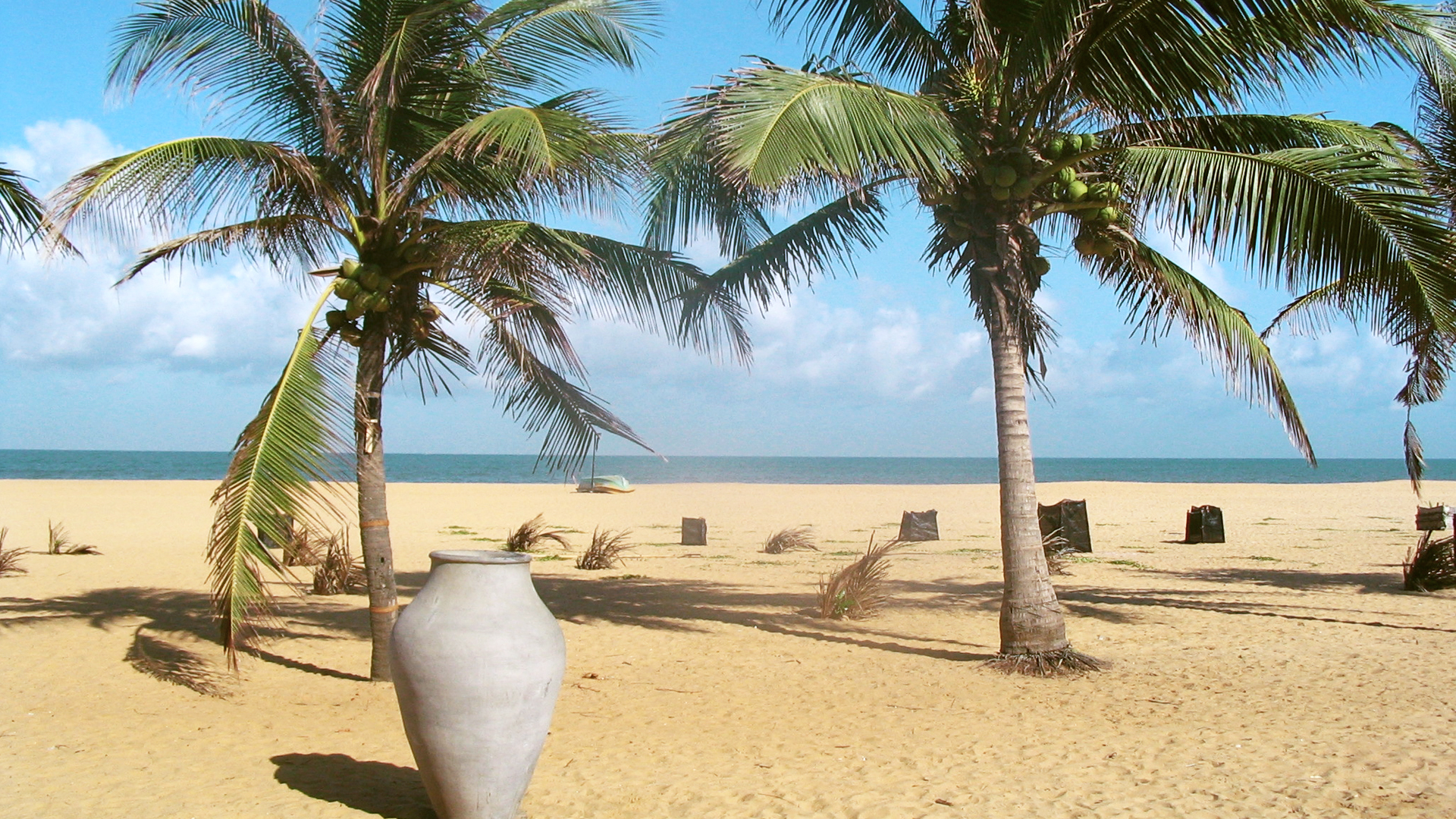 Чад великобритания шри ланка. Негомбо Шри Ланка. Пляж Негомбо Шри Ланка. Баттикалоа Шри Ланка. Баттикалоа Шри Ланка пляж.